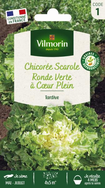 Potagères - Chicorée Scarole Ronde Verte à Cœur Plein - PACKAGING_RECTO
